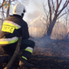 Упродовж минулої доби рятувальники Чернігівщини ліквідували 4 пожежі у природних екосистемах