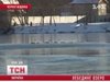 На Чернігівщині знайшли справжнє лебедине озеро