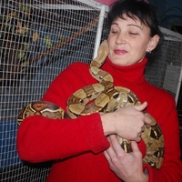 Змії у Менському зоопарку консервативні та справедливі