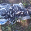 Браконьєрам прийдеться відповідати
