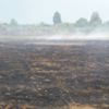 Чернігівська область: триває гасіння пожежі на торфовищі