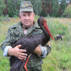 Чорний лелека знайшов притулок у селі Олександрівка