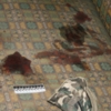 Міліція розкрила замах на вбивство по