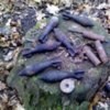 Прилуцький район: виявлено дев’ять мінометних мін часів війни. ФОТО
