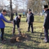 Міліцейський сад у школі-інтернаті розквітне навесні
