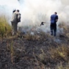 Козелецький район: ліквідовано пожежу настилу в лісі