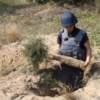 У Чернігівській області співробітники СБУ виявили схованку з артилерійськими снарядами
