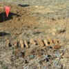 Піротехніки ДСНС знешкодили 9 ручних гранат, які було виявлено під час розкопок місця поховання Радянських воїнів