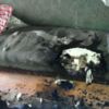 Вогнеборці під час пожежі врятували 65-річного інваліда