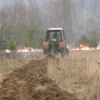 Вогнеборці та лісокористувачі ліквідували пожежу молодих насаджень